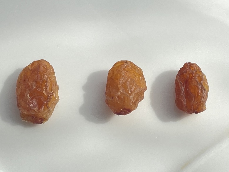 レーズン　色味